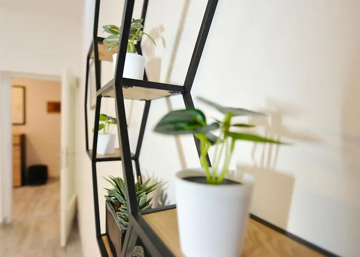 Appartement Didova Kuca Zadar